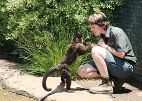 National Zoo & Aquarium - Tourism Townsville 1