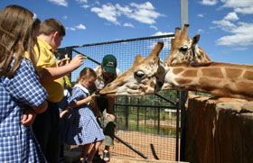 National Zoo & Aquarium - Tourism Townsville 2