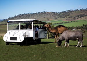 Zoo Doo Wildlife Park - Tourism Townsville 2