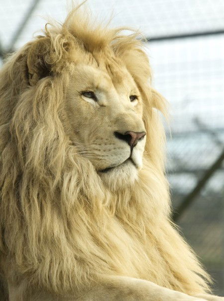 Zoo Doo Wildlife Park - Tourism Townsville 3