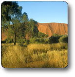 Uluru - Kata Tjuta National Park - Tourism Townsville 0