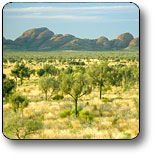 Uluru - Kata Tjuta National Park - Tourism Townsville 2
