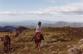 Merrijig VIC Tourism Townsville