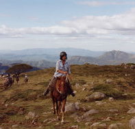 High Country Horses - Tourism Townsville