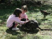 Urimbirra Wildlife Park - Tourism Townsville 1