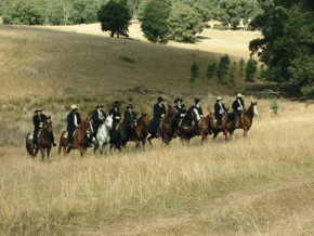 McCormacks Mountain Valley Trail Rides - Tourism Townsville