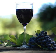 Lion Mill Vineyards - Tourism Townsville