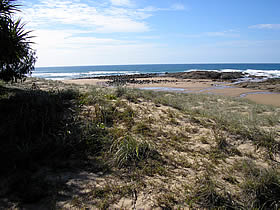 Deepwater National Park - Tourism Townsville 0