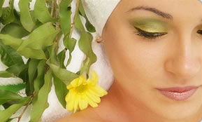 Indica Spa - Tourism Townsville 1