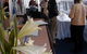 Pleasure Boat Cruises And Boat Charters - thumb 2