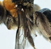 Western Australian Museum - Tourism Townsville