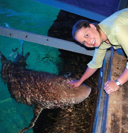 National Zoo & Aquarium - Tourism Townsville 7