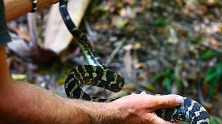 Queensland Day Tours - Tourism Townsville 1