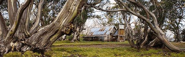 High Country Scenic Tours - Tourism Townsville 0