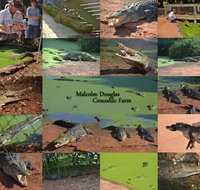 The Malcolm Douglas Crocodile Park - Tourism Townsville
