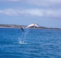 Steep Point - Tourism Townsville