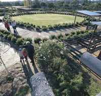 Kojonup Rose Maze - Tourism Townsville