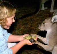 Discovery Bay's Walk on the Wild Side - Tourism Townsville