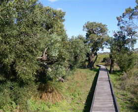 Kepwari Trails Wetland Wonderland - Tourism Townsville 0