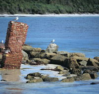 Whalers Beach - Tourism Townsville