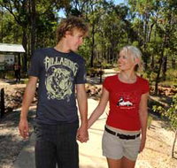 Crooked Brook Forest - Tourism Townsville