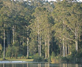 Big Brook Dam - Tourism Townsville 0