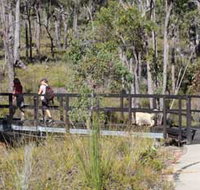 Forest Path Crooked Brook - Tourism Townsville