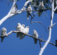 Carawine Gorge - Tourism Townsville
