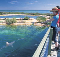 Shark Bay Marine Park - Tourism Townsville
