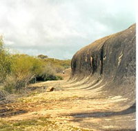Totadgin Dam Reserve - Tourism Townsville