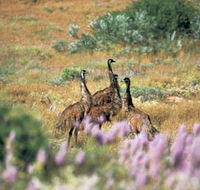 Jurabi Coastal Reserve - Tourism Townsville