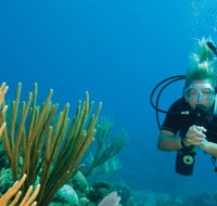 Coastal Water Dive - Tourism Townsville