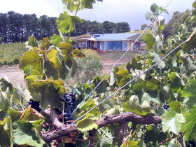 Zimmermann Wine - Tourism Townsville 0