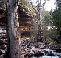 Mount Remarkable National Park - Tourism Townsville