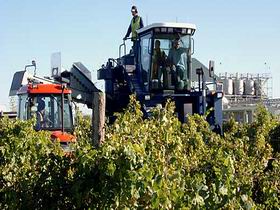 Ballast Stone Estate Wines Pty Ltd - Tourism Townsville 0