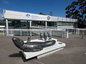 Australia's Antarctic Headquarters - Tourism Townsville 0