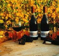 Craigow Vineyard - Tourism Townsville
