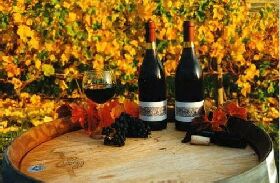 Craigow Vineyard - Tourism Townsville 0
