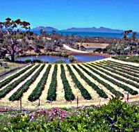 Kate's Berry Farm