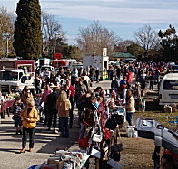 Evandale Market