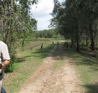 Coombabah Lakes Conservation Area - Tourism Townsville