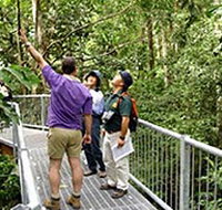 Daintree Discovery Centre - Tourism Townsville