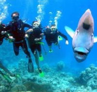 Gotham City Dive Site - Tourism Townsville