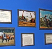 Town Hall Photographic Display - Tourism Townsville