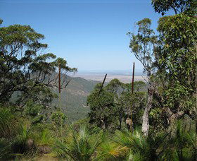 Zamia Walk - Tourism Townsville 0