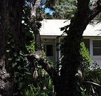 Melaleuca Gallery