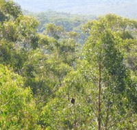 Bunyip State Park