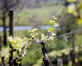 Michelini Wines - Tourism Townsville 0