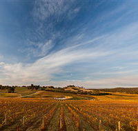 Sanguine Estate