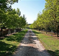 Waybourne Winery